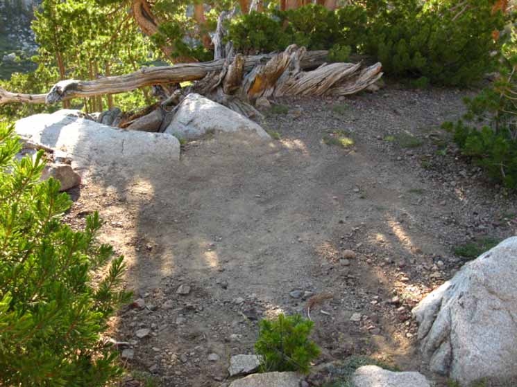 Campsite above Wolf Creek Lake.